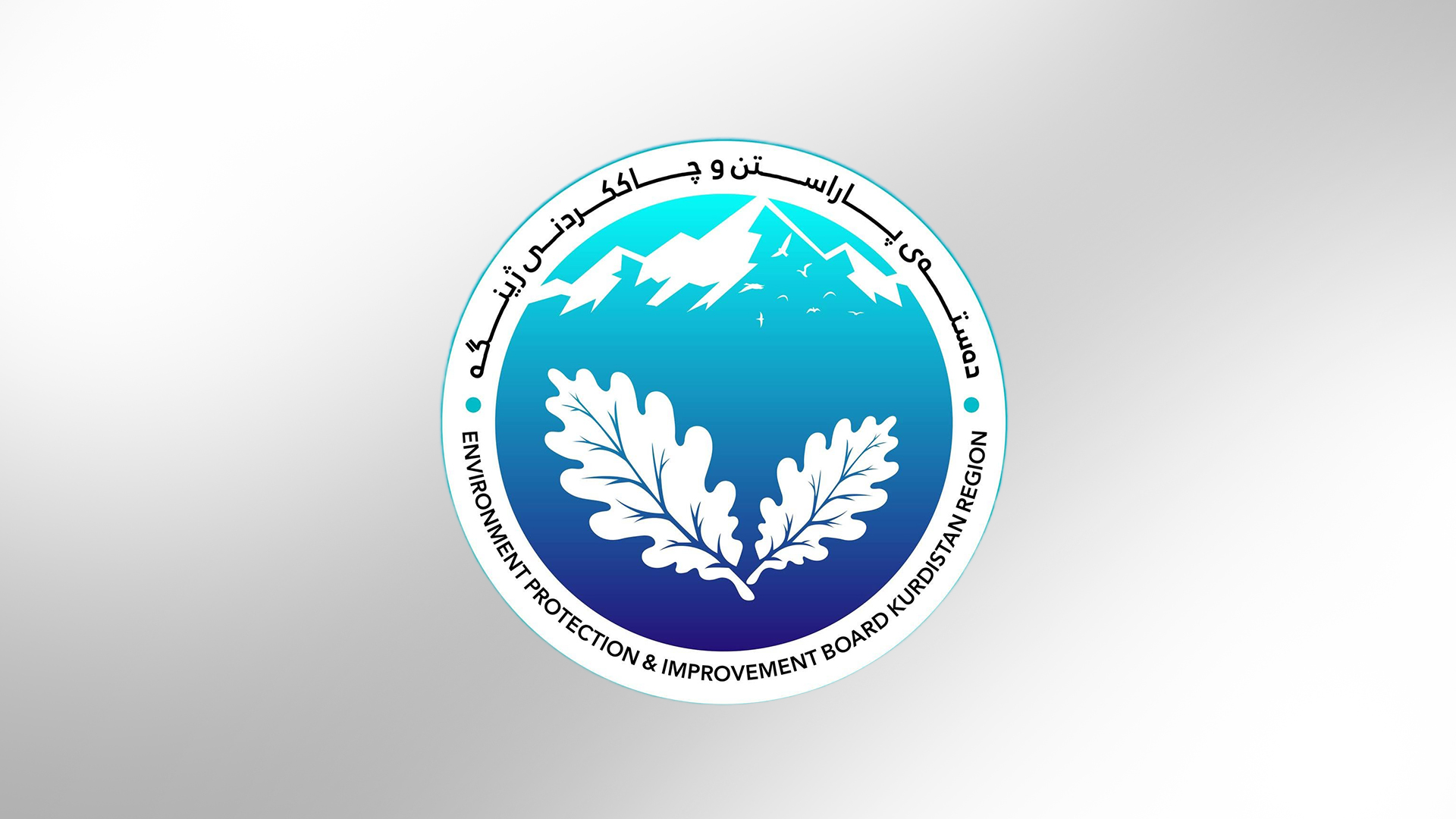 صوّر وأرسل .. مبادرة في كوردستان لملاحقة السيارات الملوثة للبيئة وتغريم سائقيها