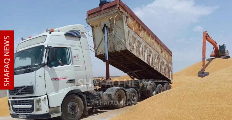 نينوى تلغي قيود نقل الحنطة وتسمح بتداولها باتجاه باقي المحافظات